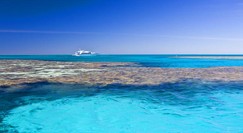 Reef Jet Cruises - Accommodation Whitsundays